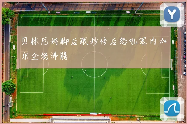 贝林厄姆脚后跟妙传后怒吼塞内加尔全场沸腾