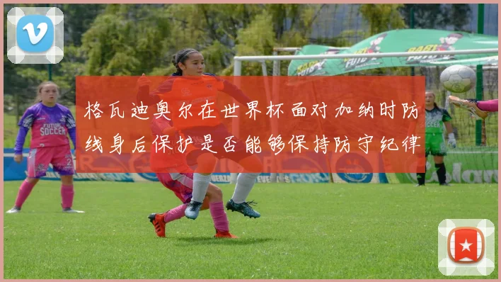 格瓦迪奥尔在世界杯面对加纳时防线身后保护是否能够保持防守纪律